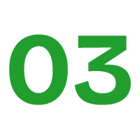 Brapor 03